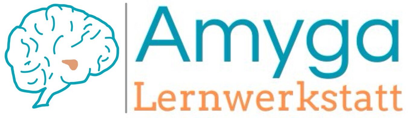 Amygalernwerkstatt