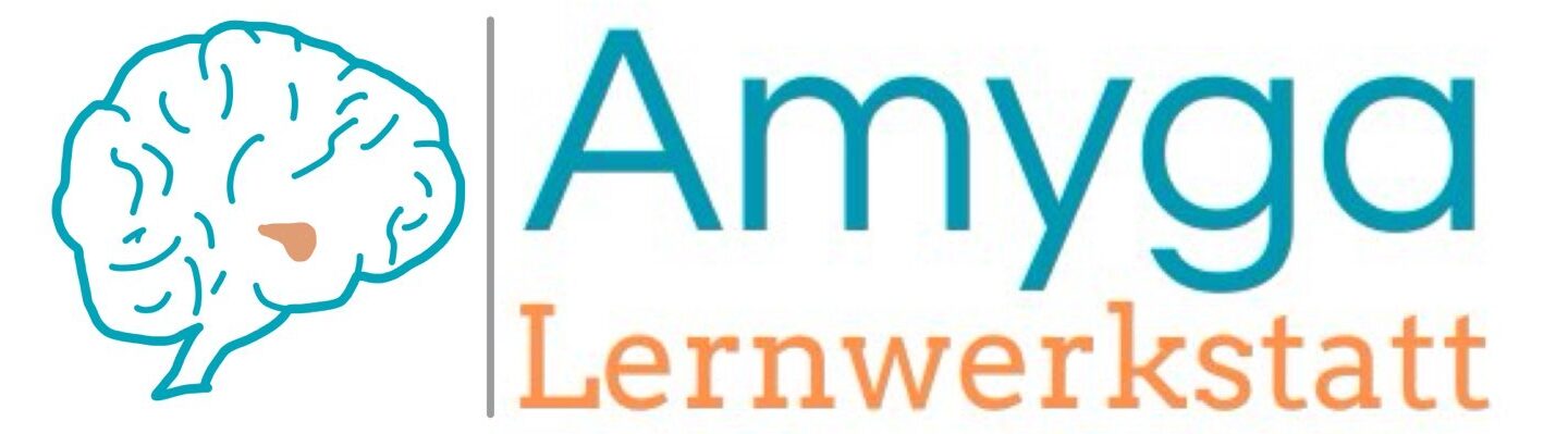 amygalernwerkstatt